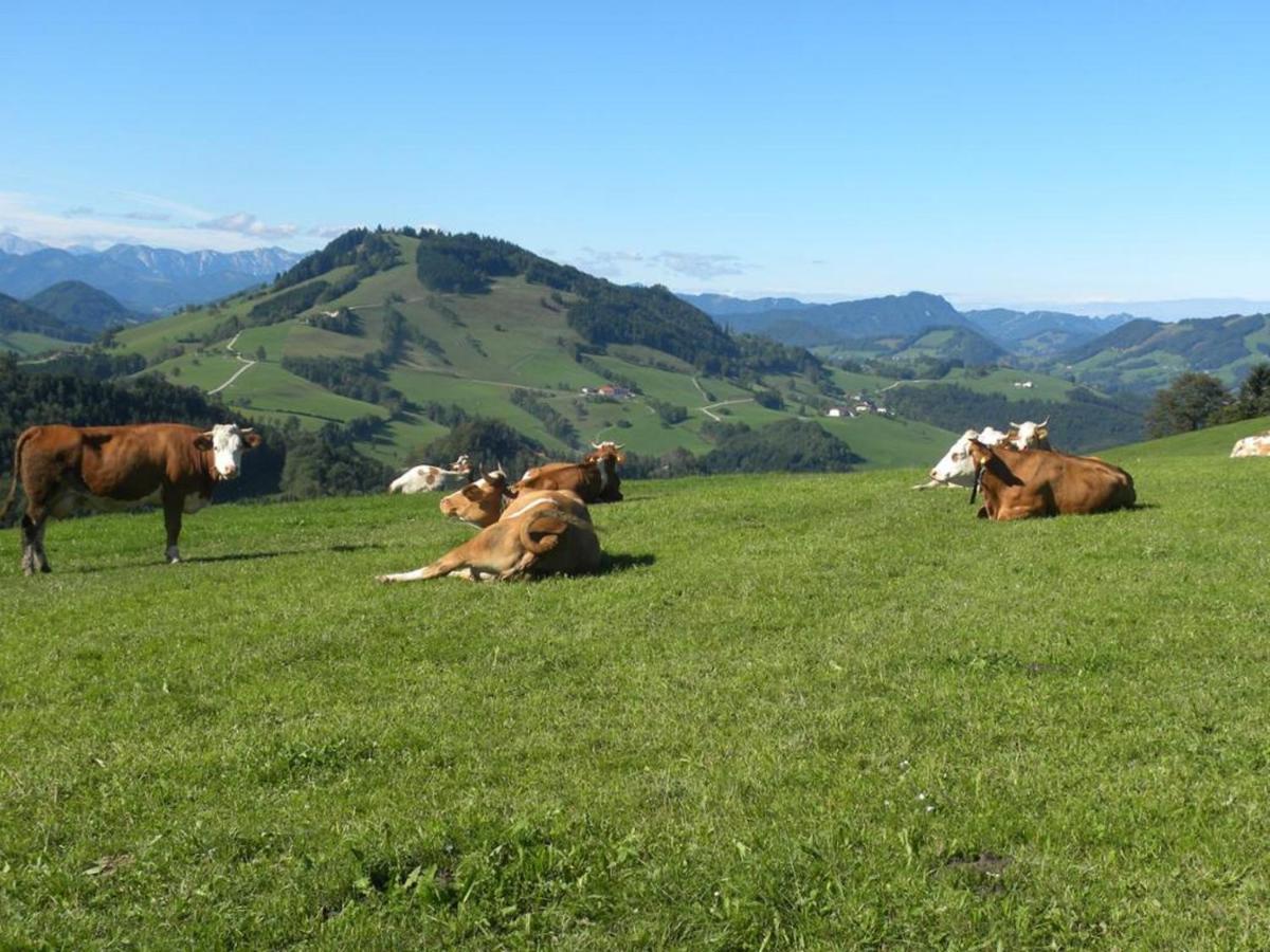 Apartamento Mitterhirschberg, Familie Schweighuber Waidhofen an der Ybbs Exterior foto