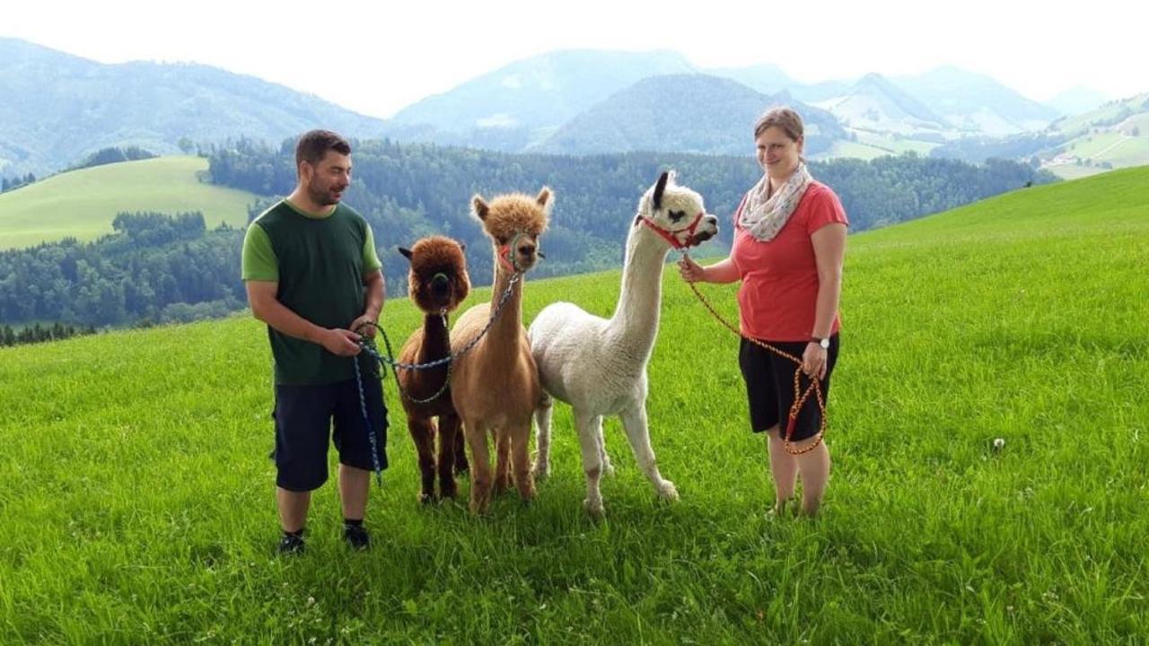 Apartamento Mitterhirschberg, Familie Schweighuber Waidhofen an der Ybbs Exterior foto